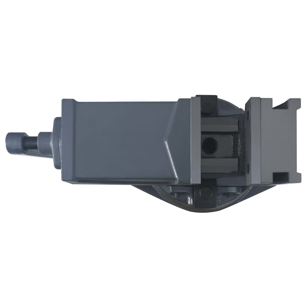 vidaXL 2-Achsen-Schraubstock Kippbar 100 mm