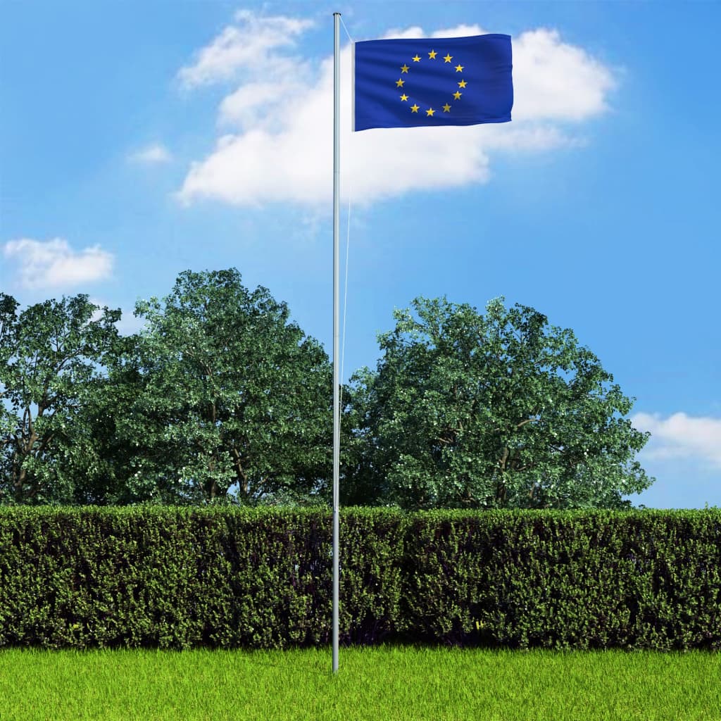 vidaXL Europaflagge und Mast Aluminium 4 m