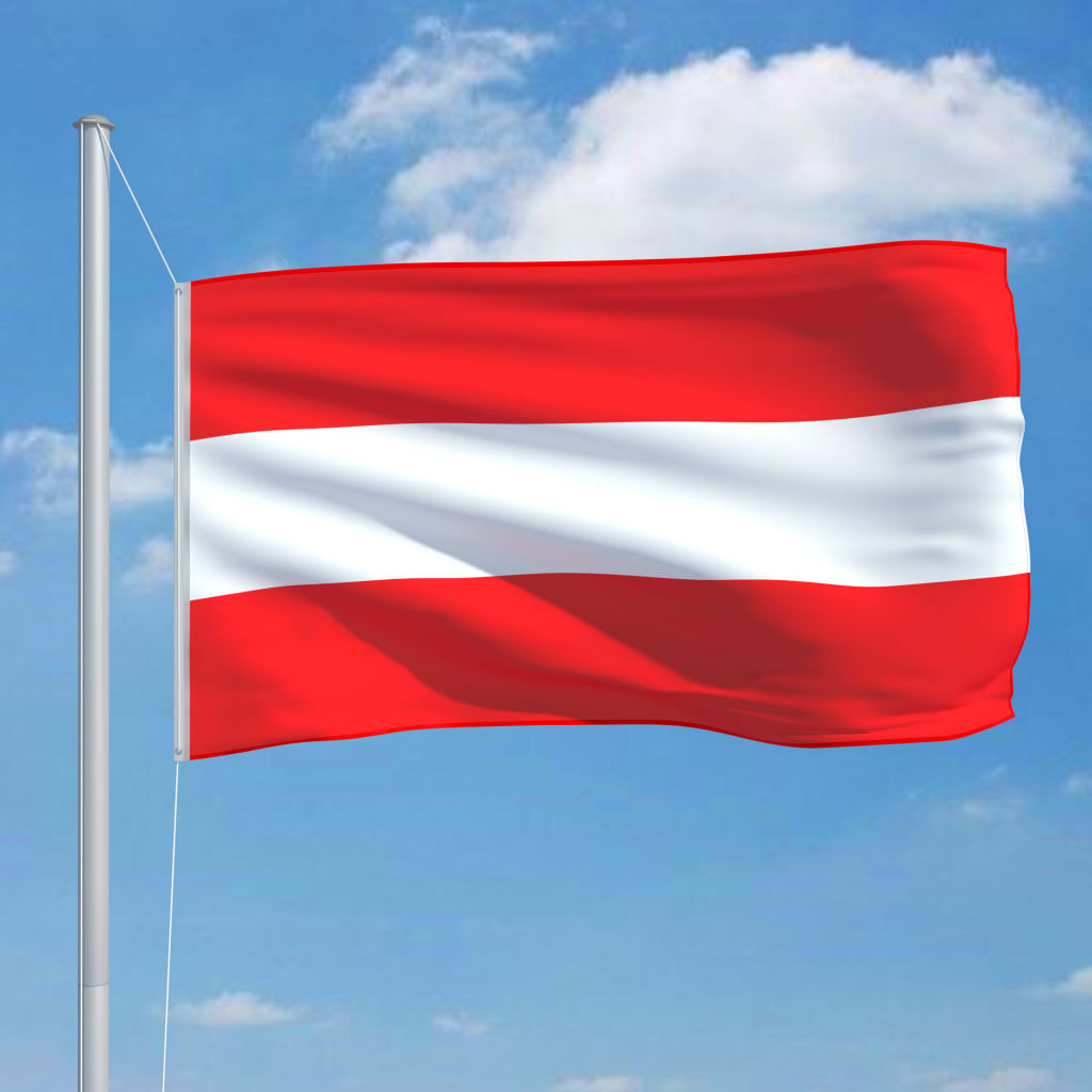 vidaXL Flagge Österreichs und Mast Aluminium 6,2 m