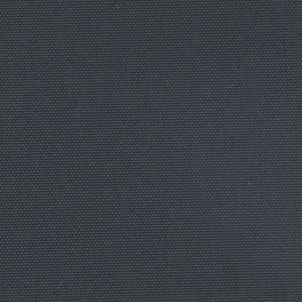 vidaXL Seitenmarkise Ausziehbar Schwarz 160x500 cm
