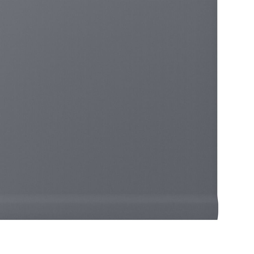 Decosol Mini Verdunkelungsrollo Anthrazit 87 x 160 cm