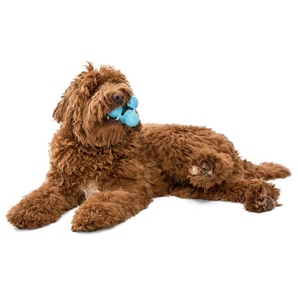 West Paw Hundespielzeug mit Zogoflex Tux Marineblau S