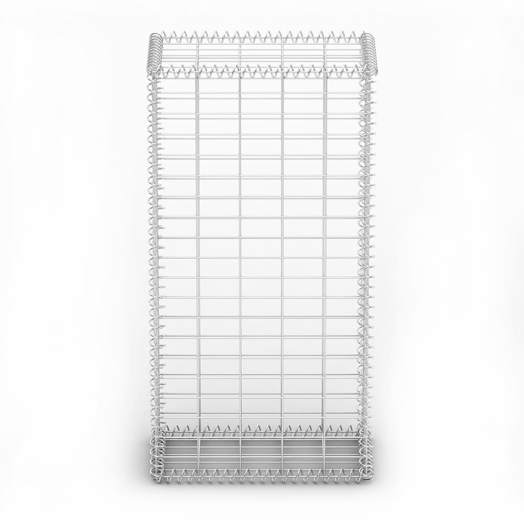 vidaXL Gabionenwand mit Glassteinen und LED-Lampe 50x30x100 cm