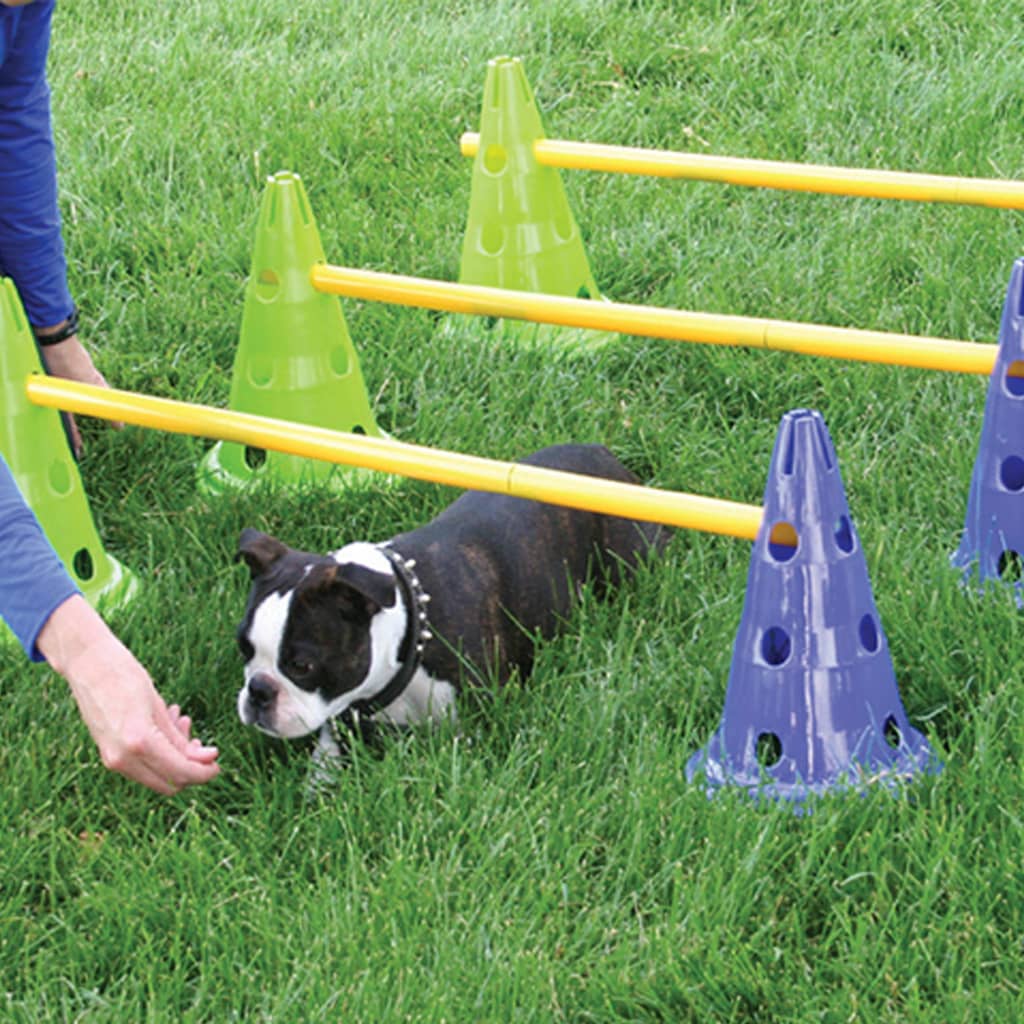 FitPAWS Hunde-Agility-Set Canine Gym