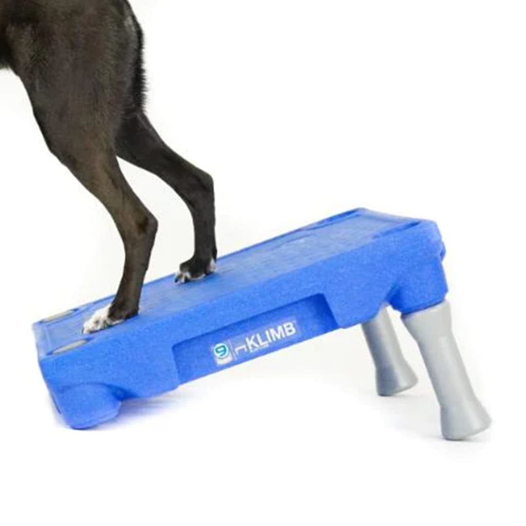 BLUE-9 Plattform für KLIMB Hundetrainingssystem Blau