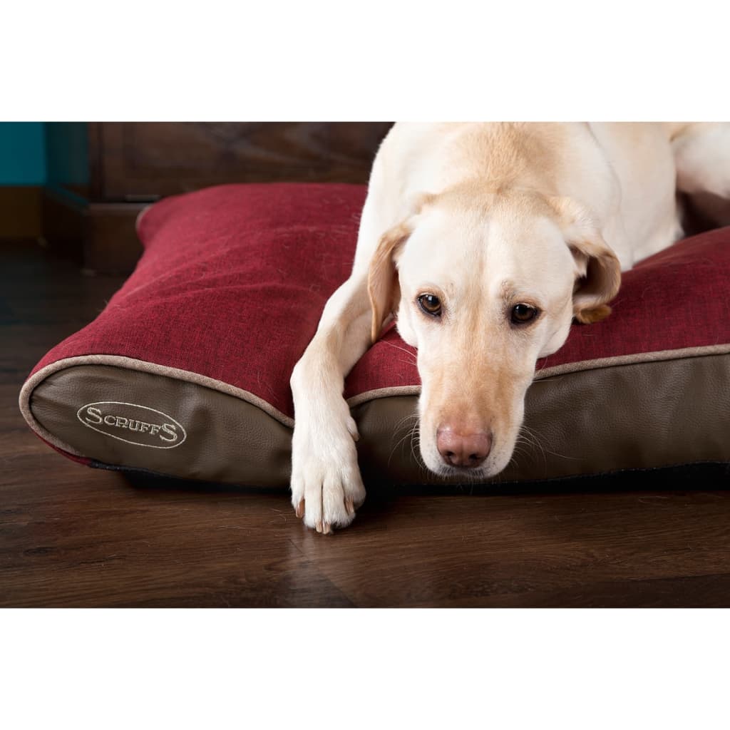 scruffs hilton memory foam