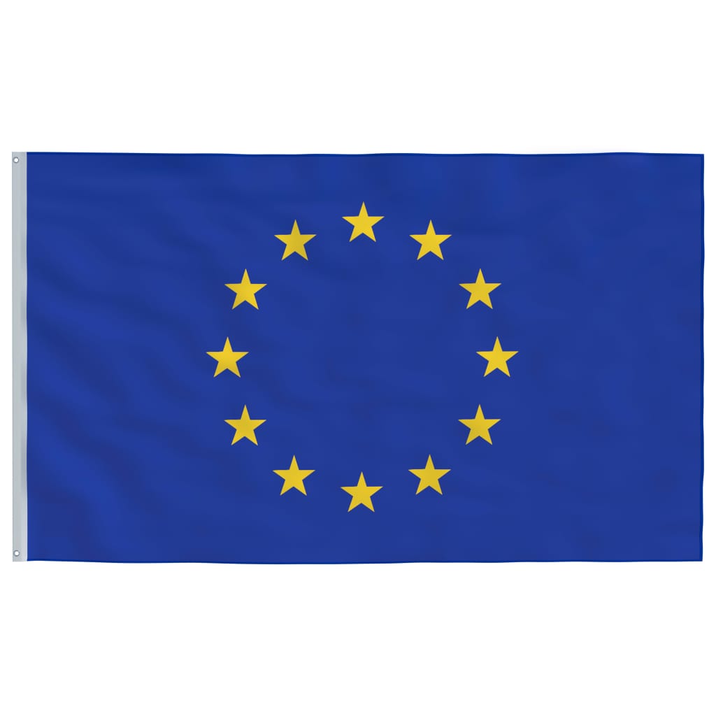 vidaXL Europaflagge und Mast Aluminium 6,2 m