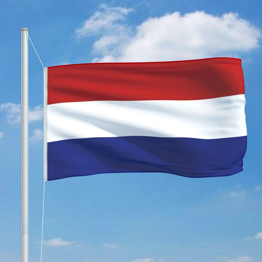vidaXL Niederländische Flagge und Mast Aluminium 6,2 m