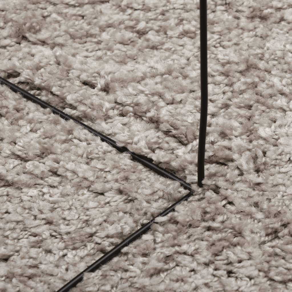vidaXL Shaggy-Teppich PAMPLONA Hochflor Modern Beige 160x160 cm